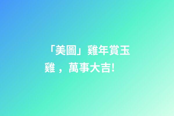 「美圖」雞年賞玉雞，萬事大吉!